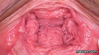 Adegan Masturbasi Close-Up Memperluas Vagina Ketat Kecantikan Ceko.