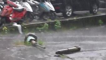 Pertemuan Polio Ramah Dengan Wanita Cantik