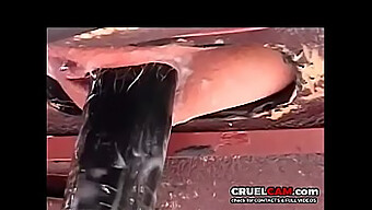 ركوب سرج عنيف مع عمل آلة جنسية مريض - Cruelcam.Com ..