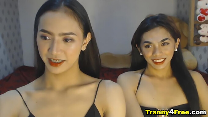 Thin Asian Transgender Couple Gives A Sensual Double Oral Pleasure To A Big Cock