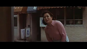 在花圃里羞辱和屈服(1974)