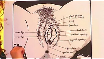 Mastering The Techniques Of Oral Sex For Women With Bruno