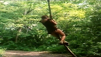 Aventura Salvaje De Tarzan En Estilo Retro Italiano De Alta Definición