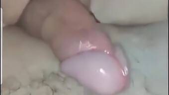 My American Slut Gets Creampied